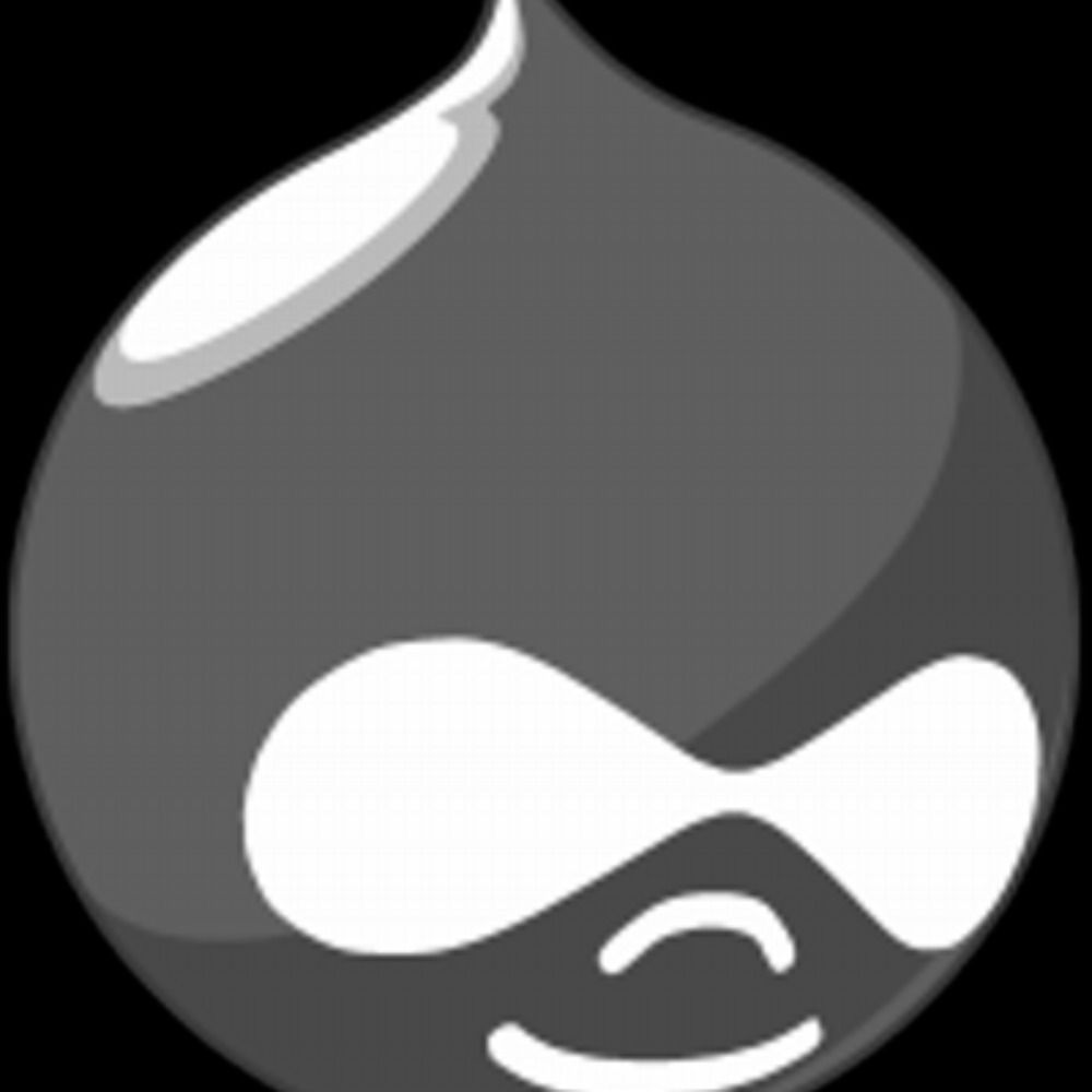 Drupal Security Team