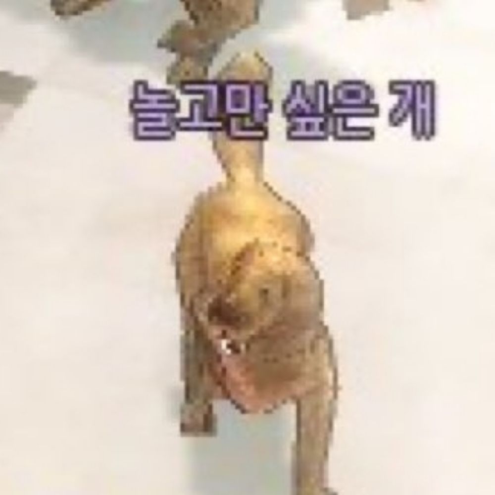 줼젤