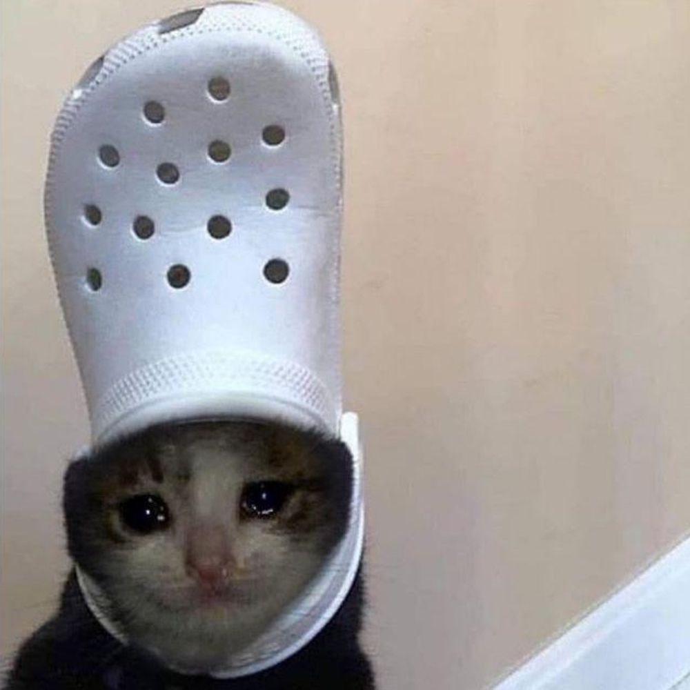 mewmewy