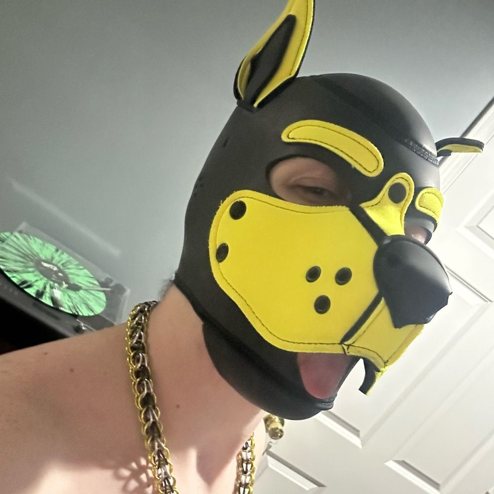 Pup Karoo