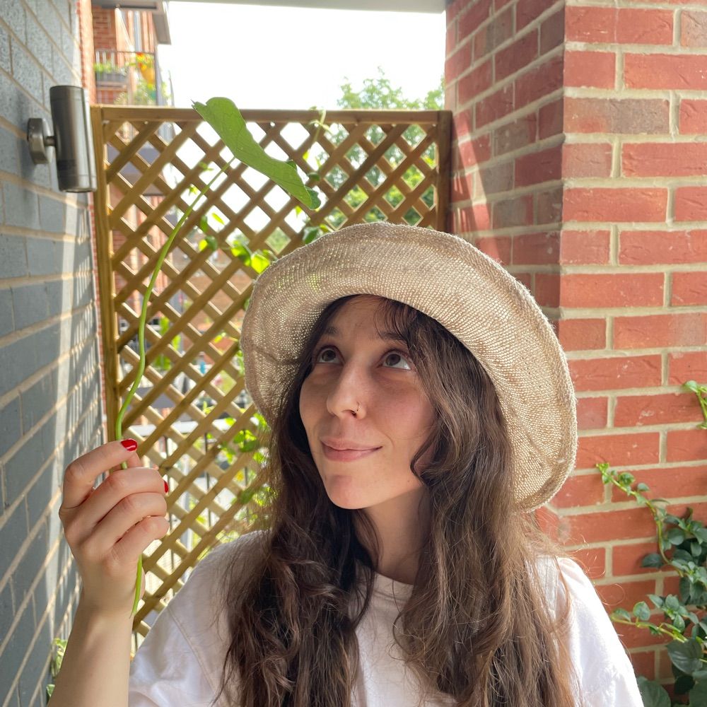 Daisy Harmer 🌼
