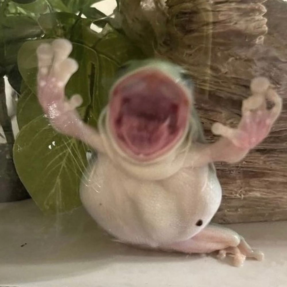 🩷Snailz🩵
