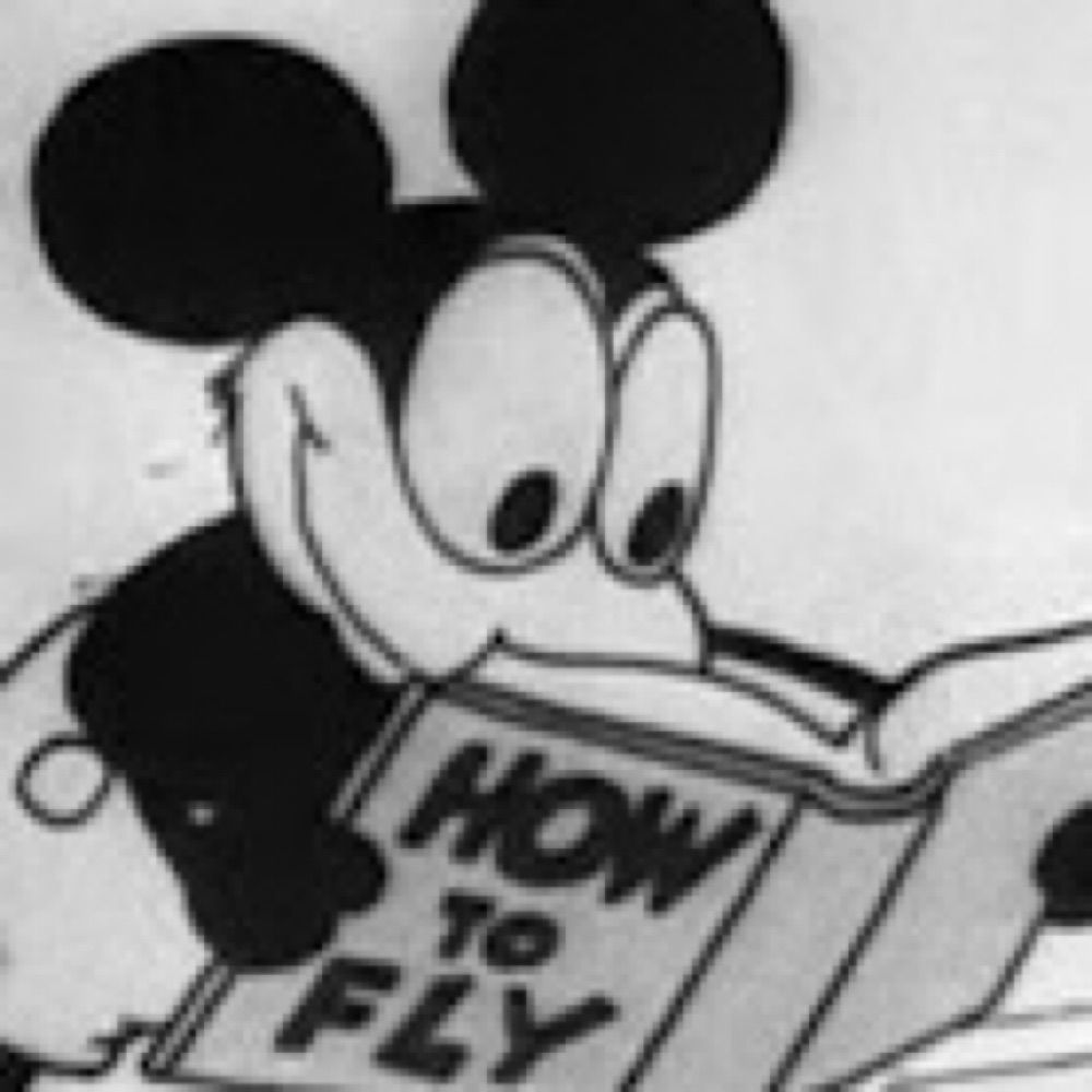 Mr. Plane Crazy