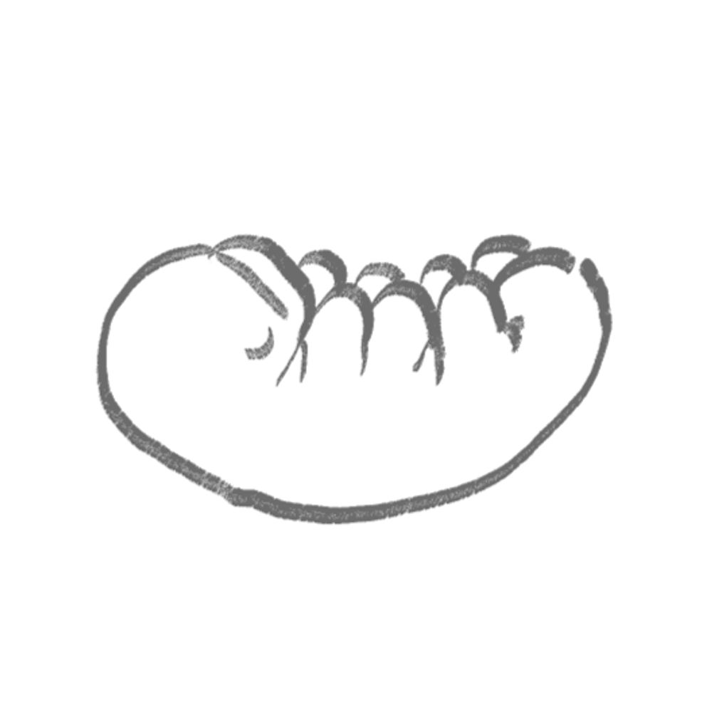 snakelauncher