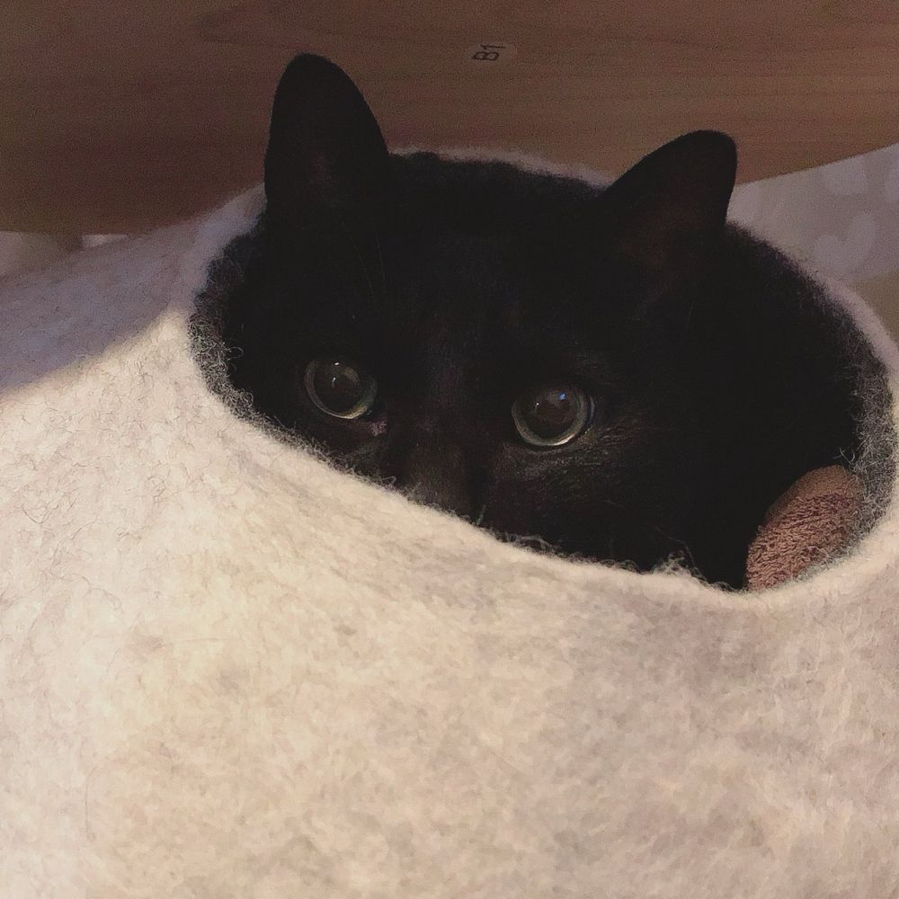ふなたん