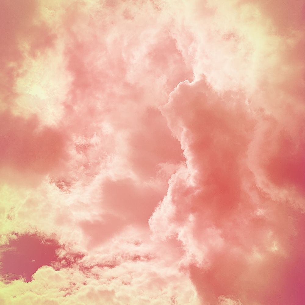Beth Chucker Photographer