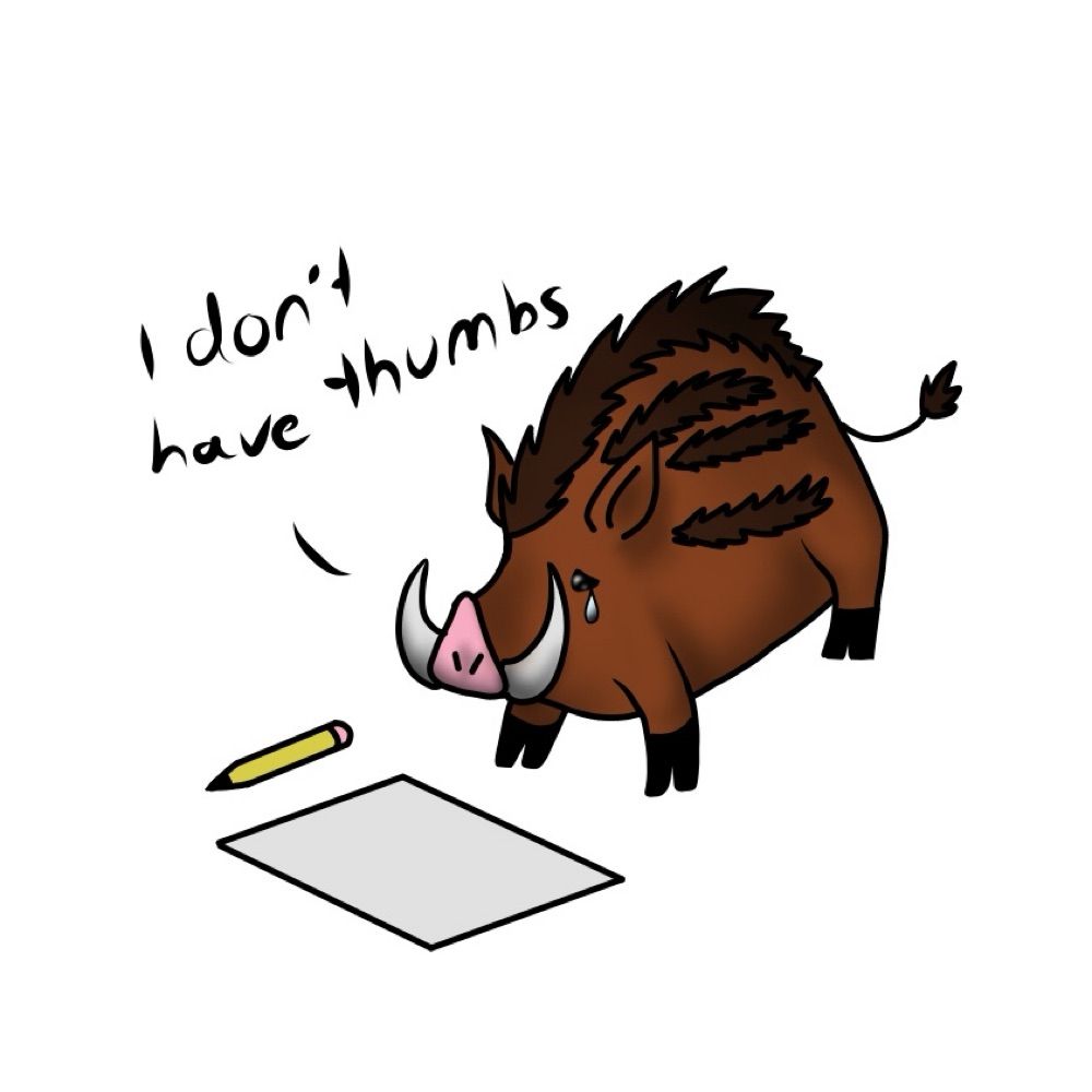 DrawingBoar