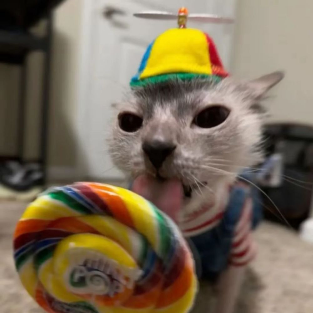 M0toca