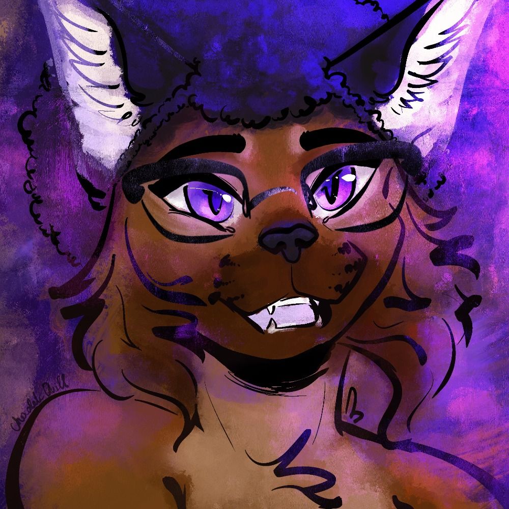 Afro Cat Queen Quill 's avatar