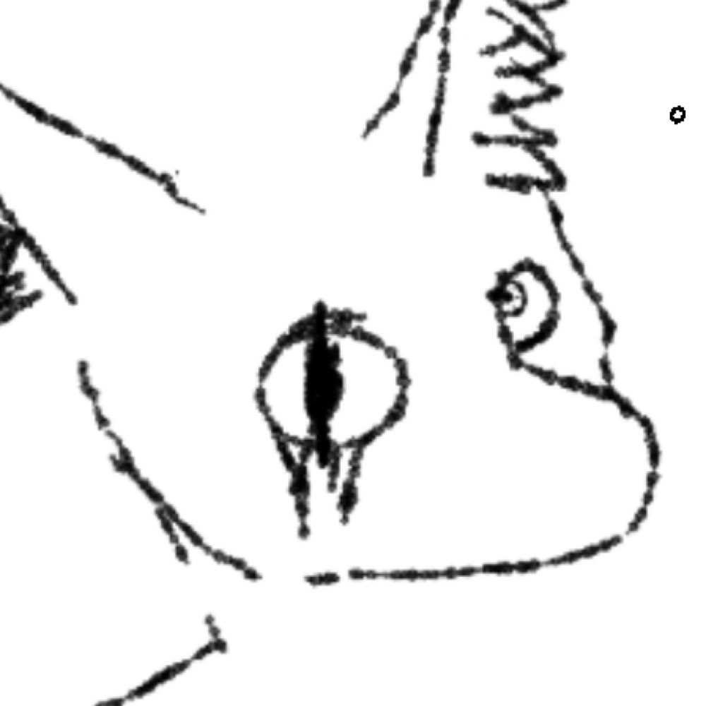 adriartilol