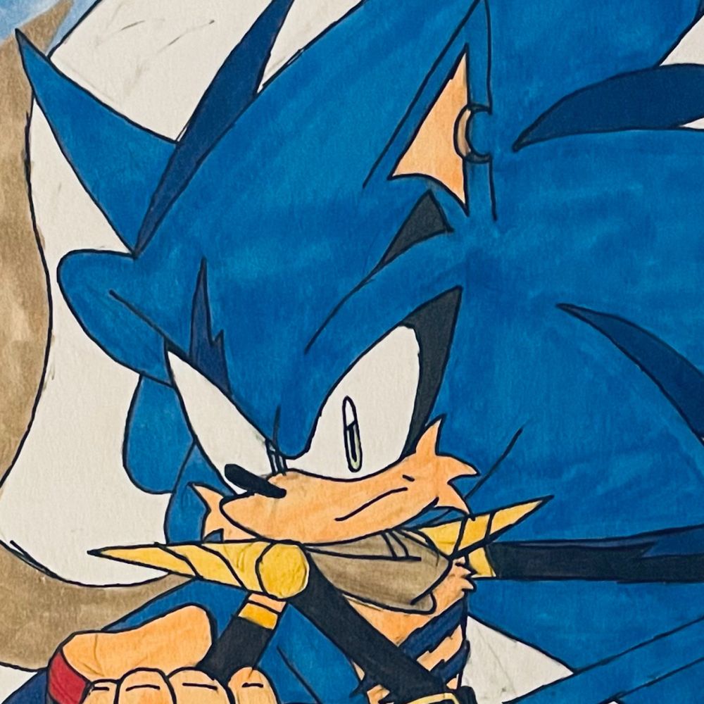 Sonic Drawers 06