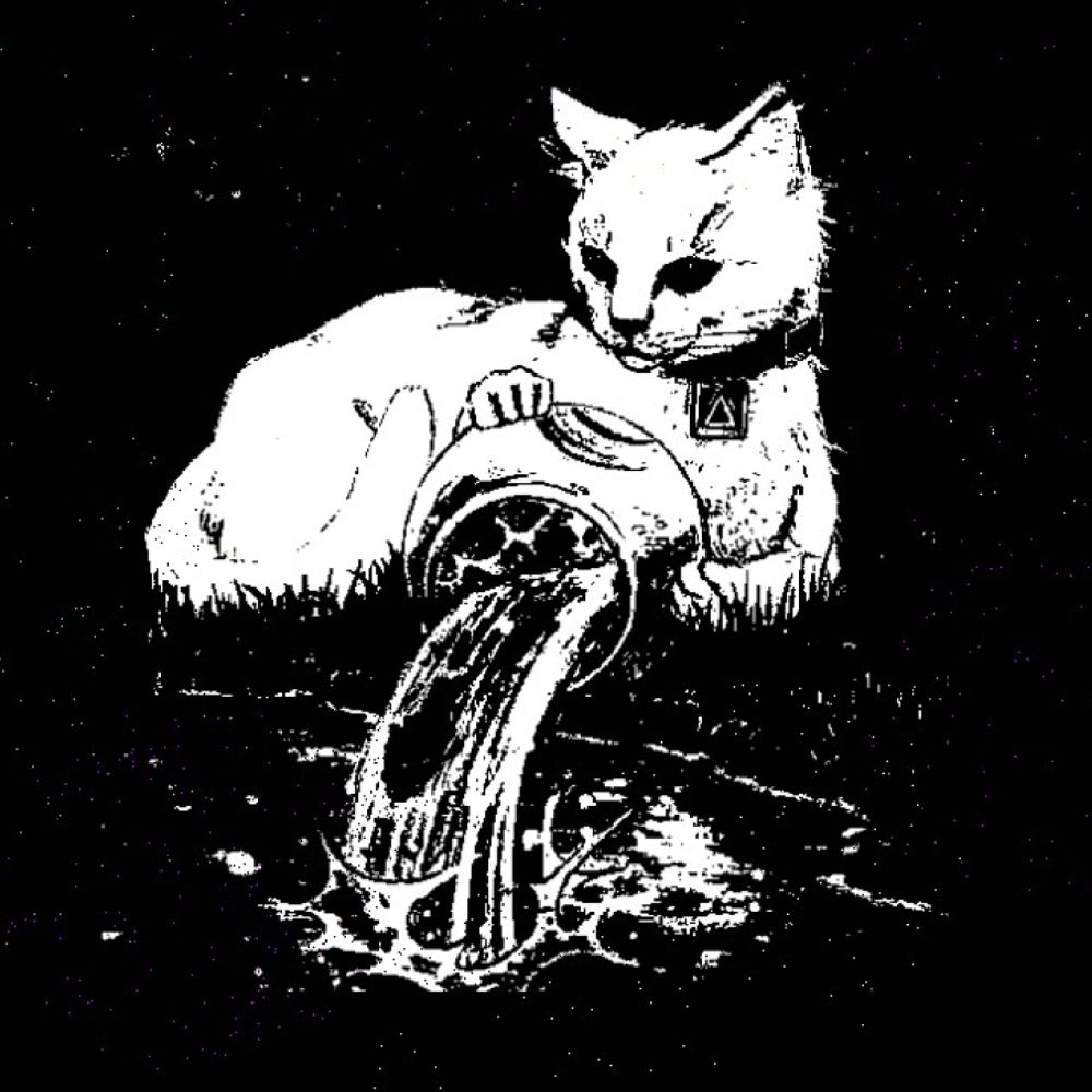 ༼༼mirellas༽༽