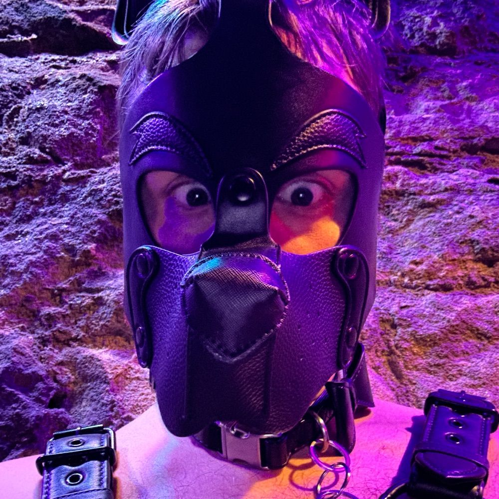 Pup Radar