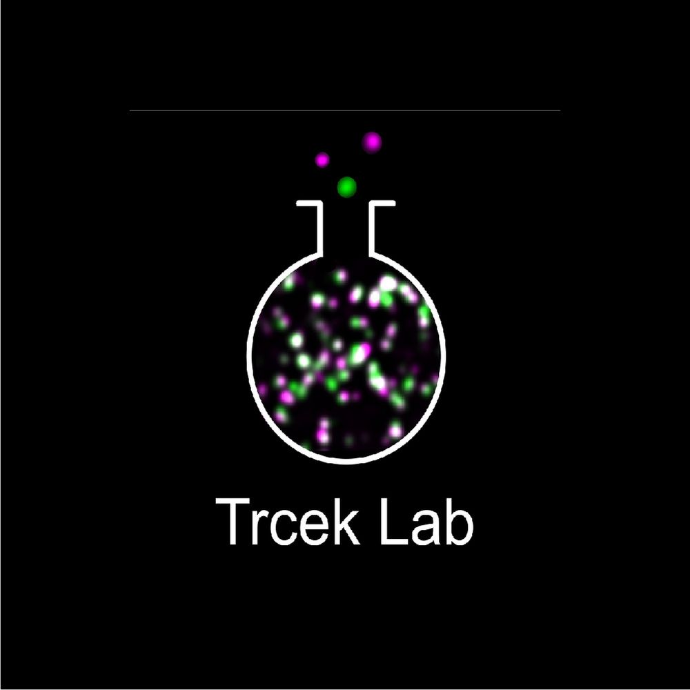 Trcek Lab