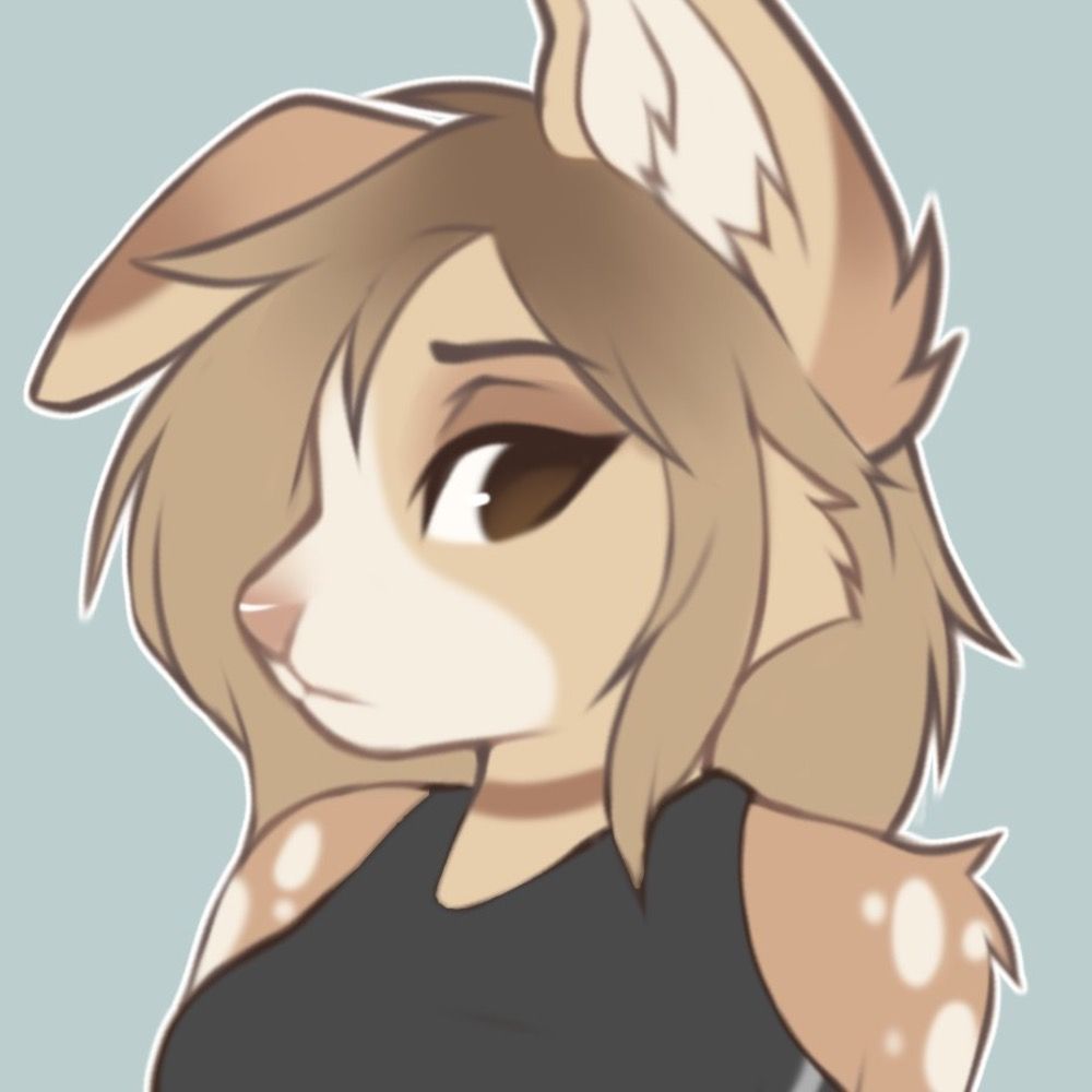 softpuppi 