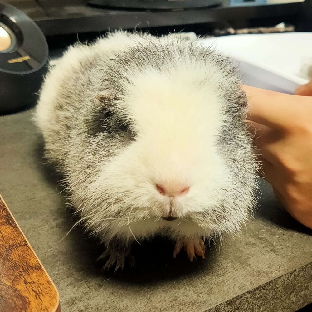 ゆい