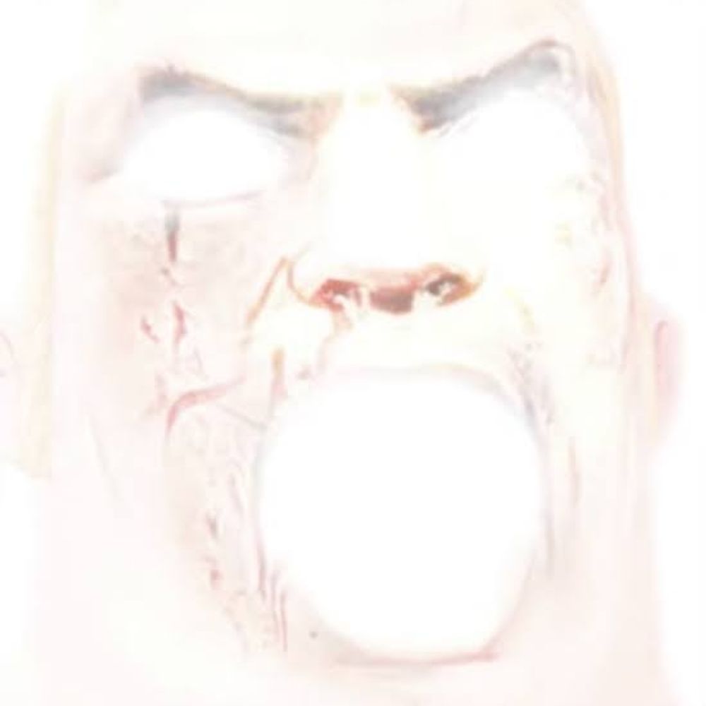 比例グラフ