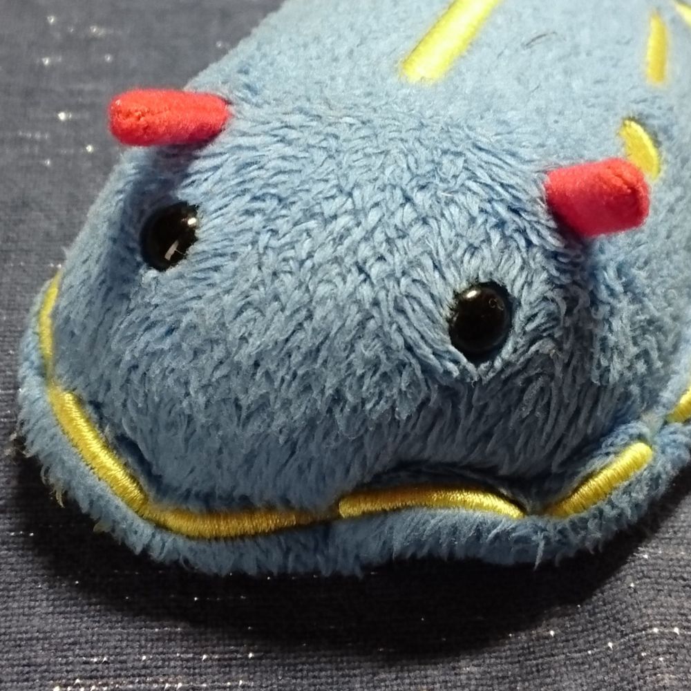 からあげ