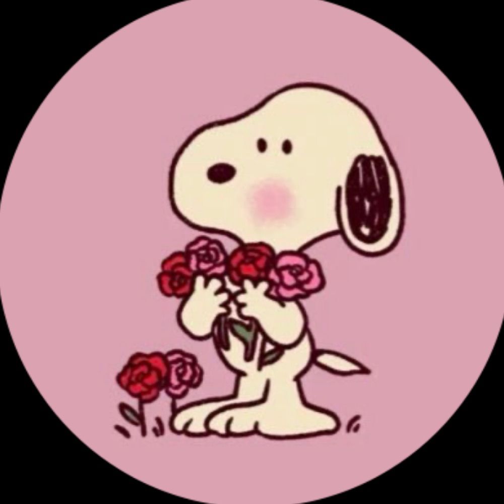 𝐒𝐢 ✦﹒