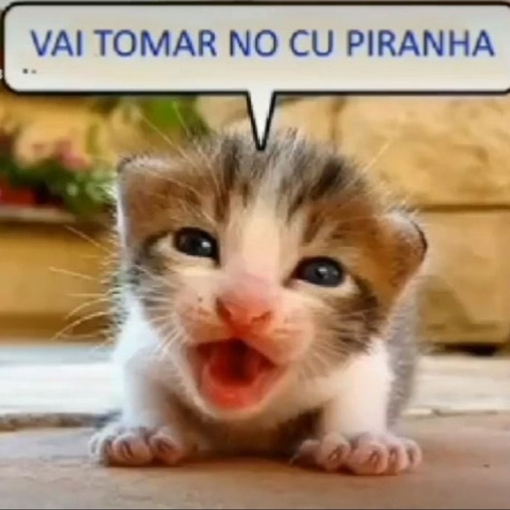 TThéo