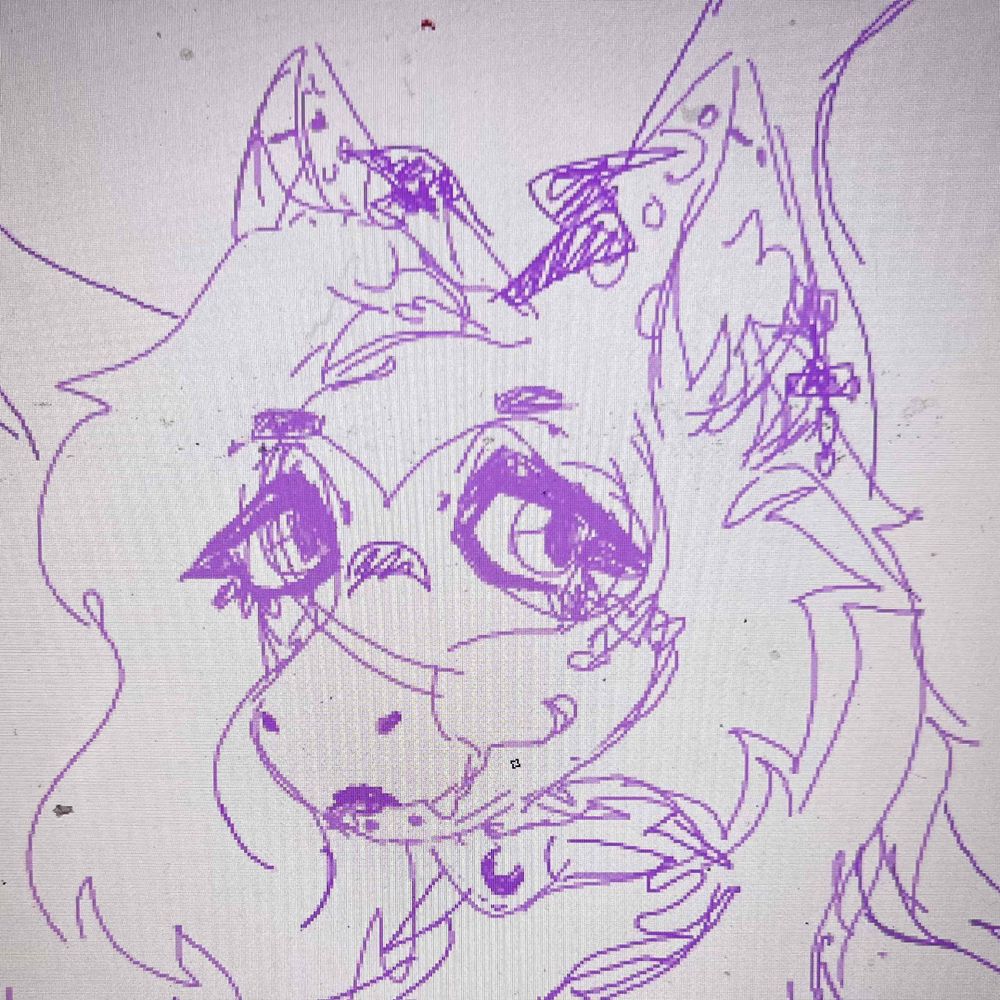 roxx 🏳️‍⚧️