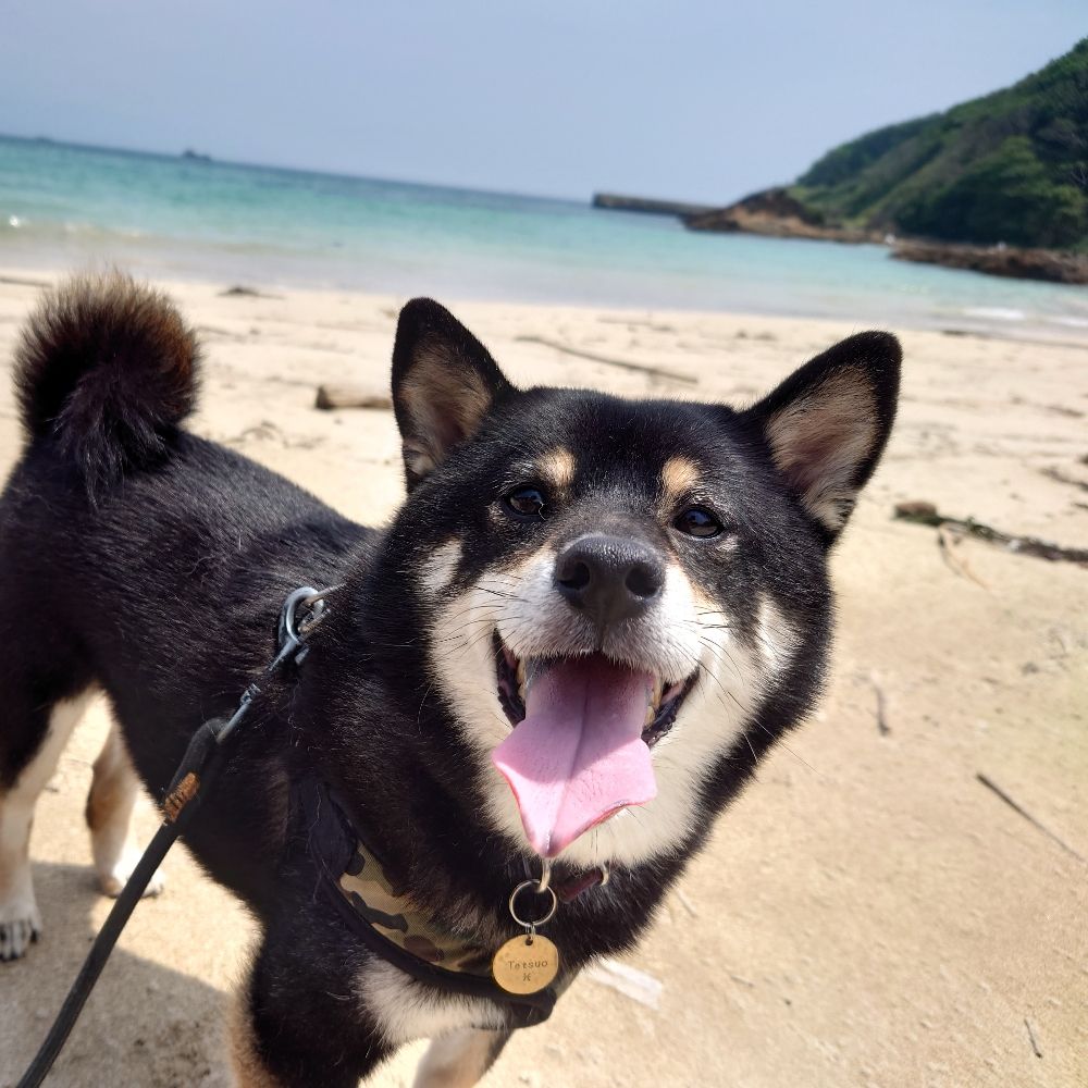 鉄パパ