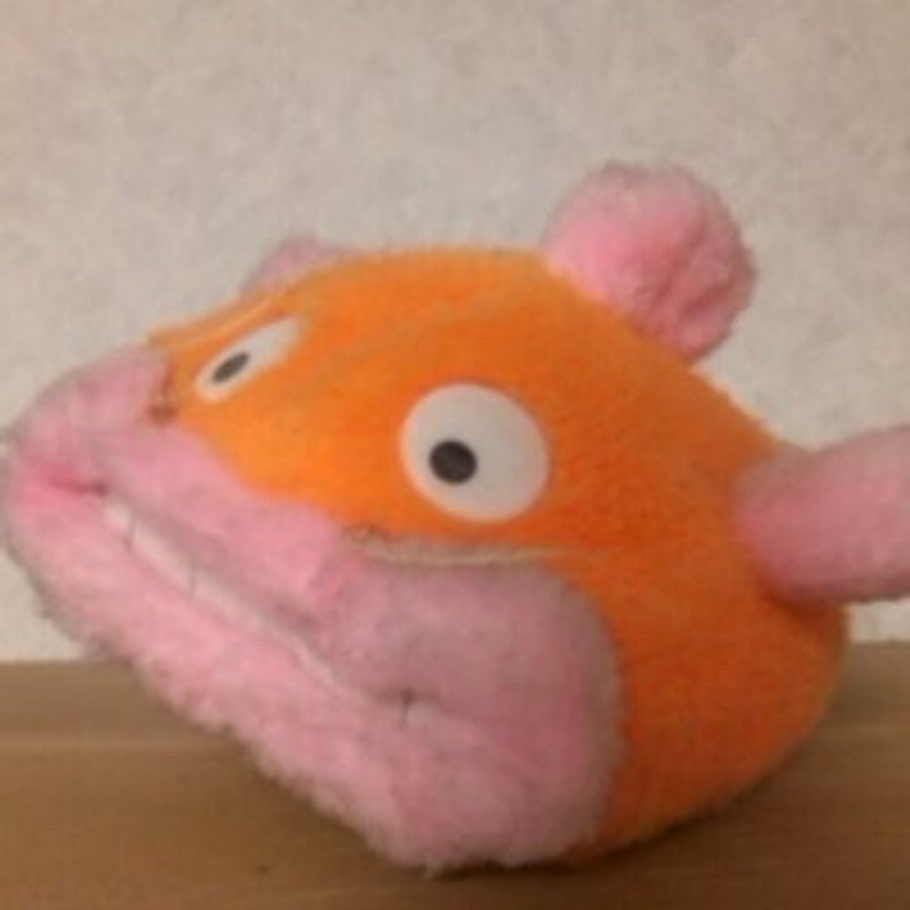 ぽぽ