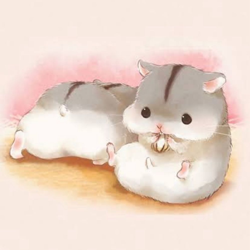 こうちゃ