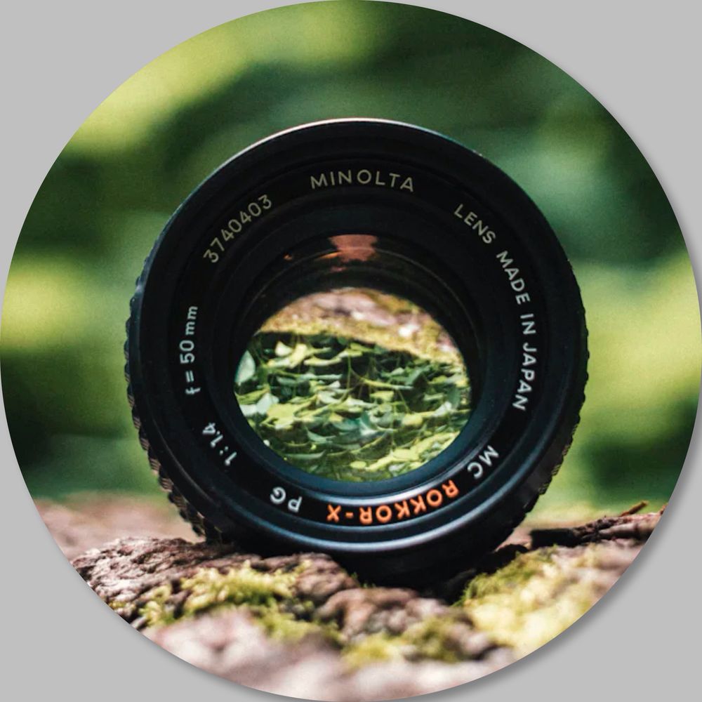 Kyo Masa 🍃Macro Photography