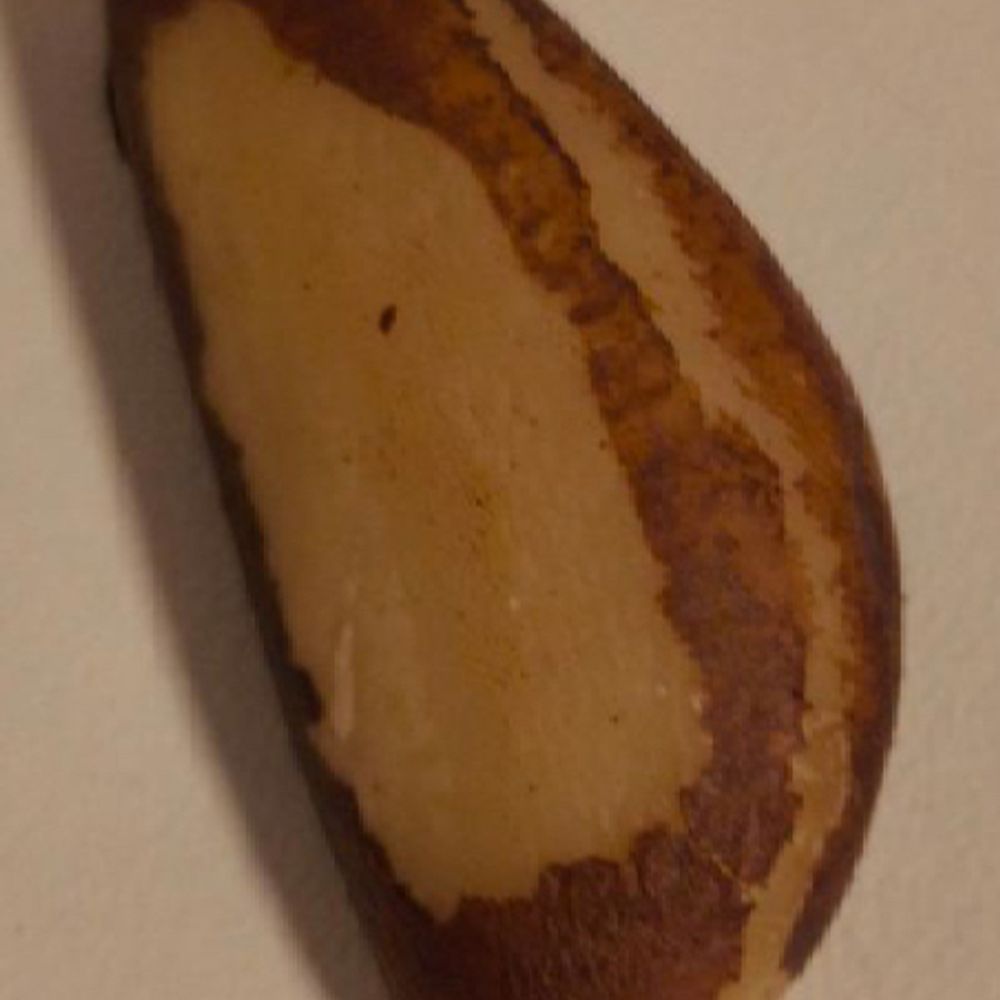 EVC