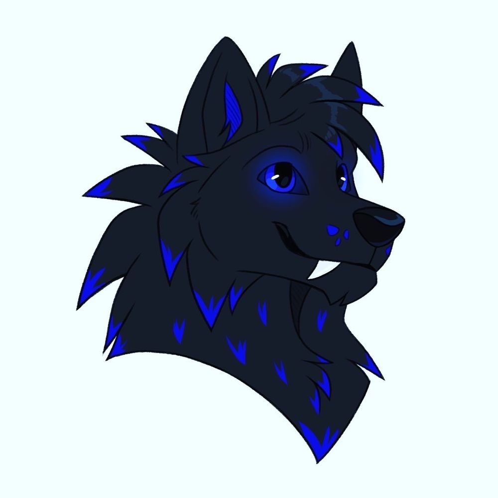PupBlacky