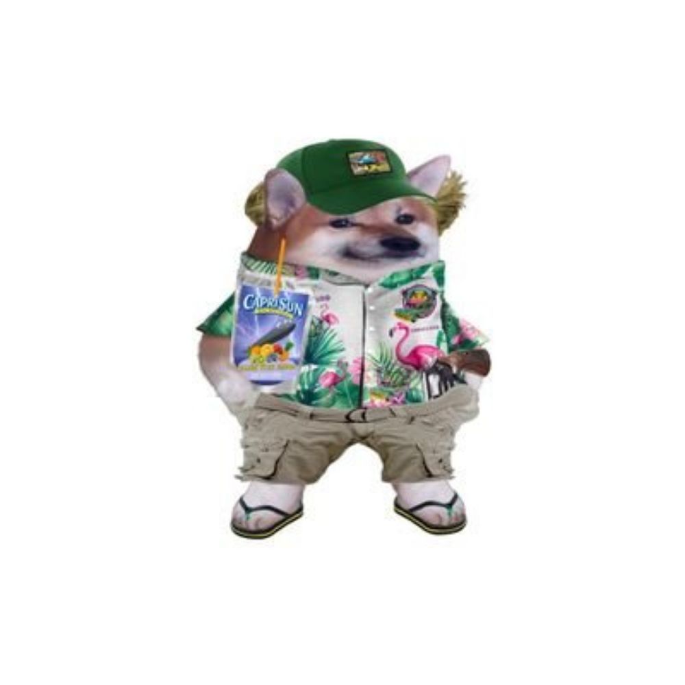 FlatCapFella