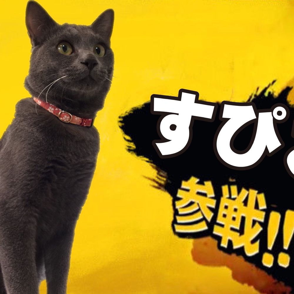 めかぶ