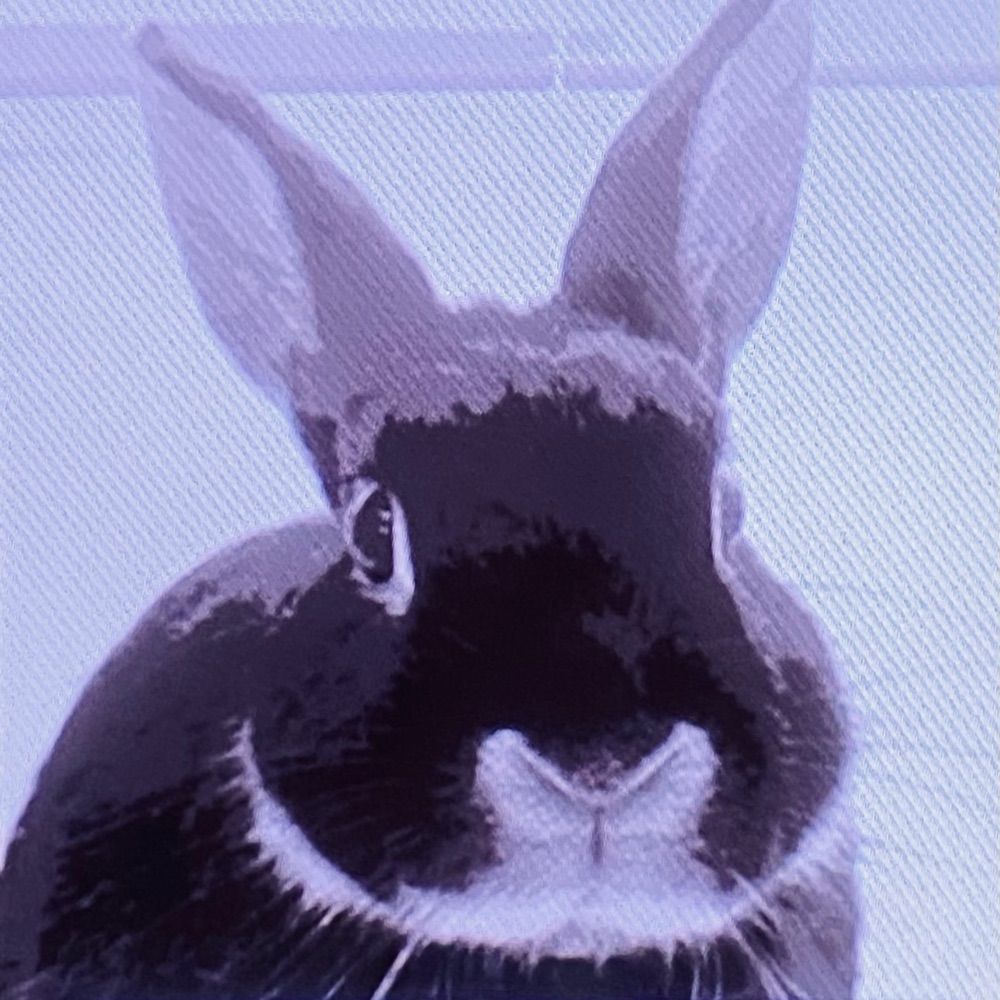 あうる
