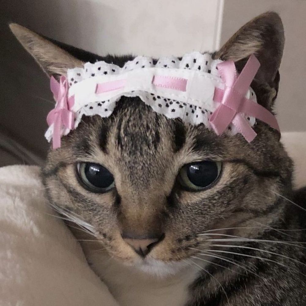 ana៹