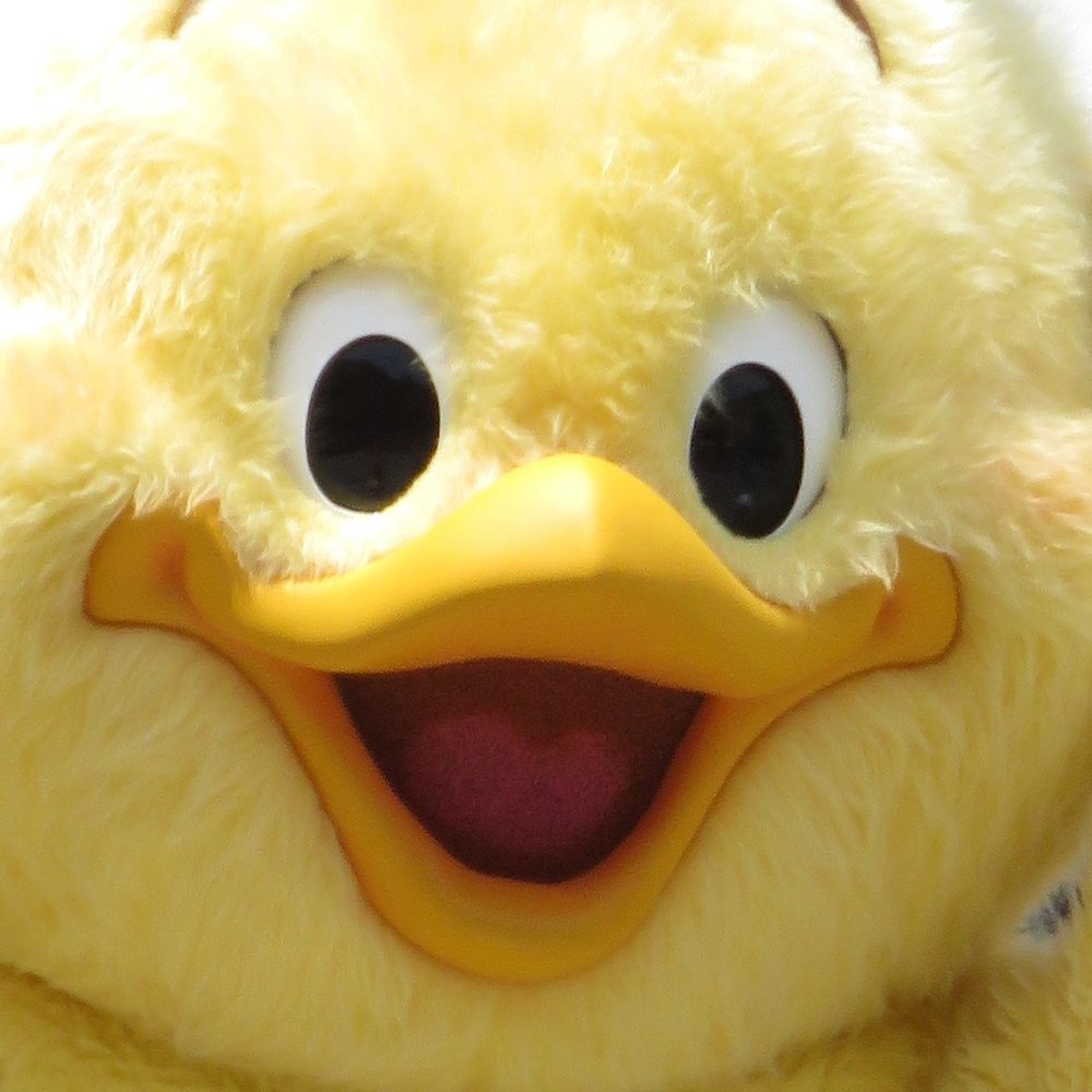 とりぽん