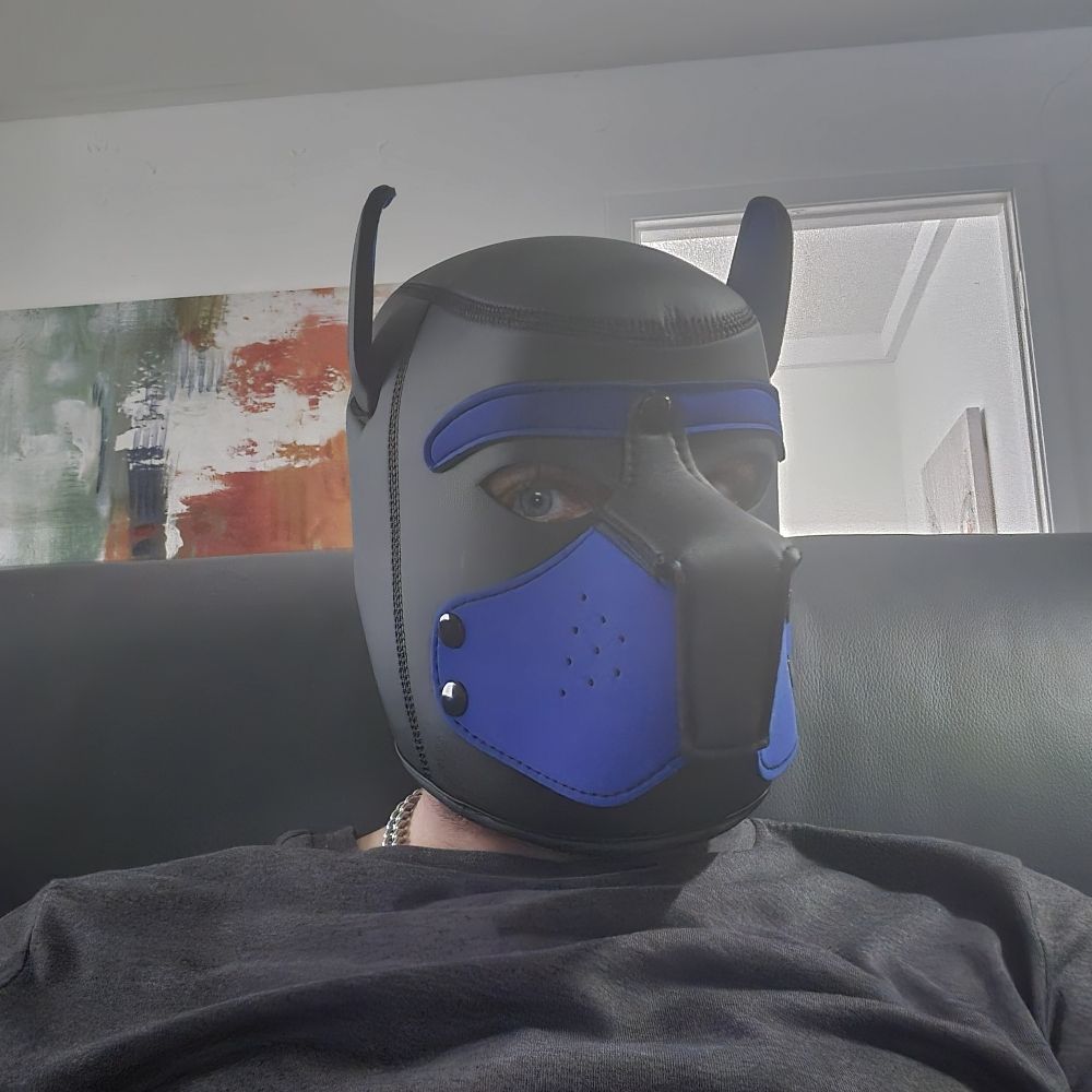 Pup Ventus