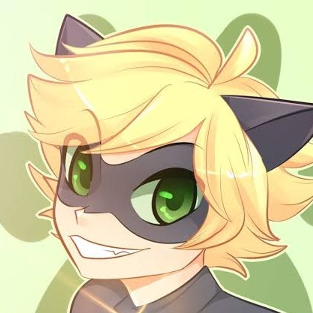 SpookyCatBoii