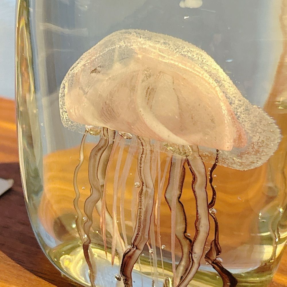 반숙노른자