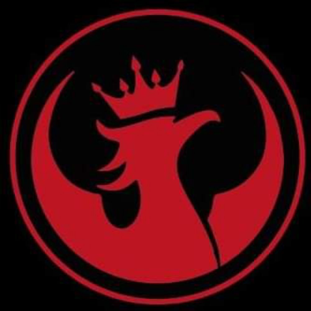Phoenix Project 