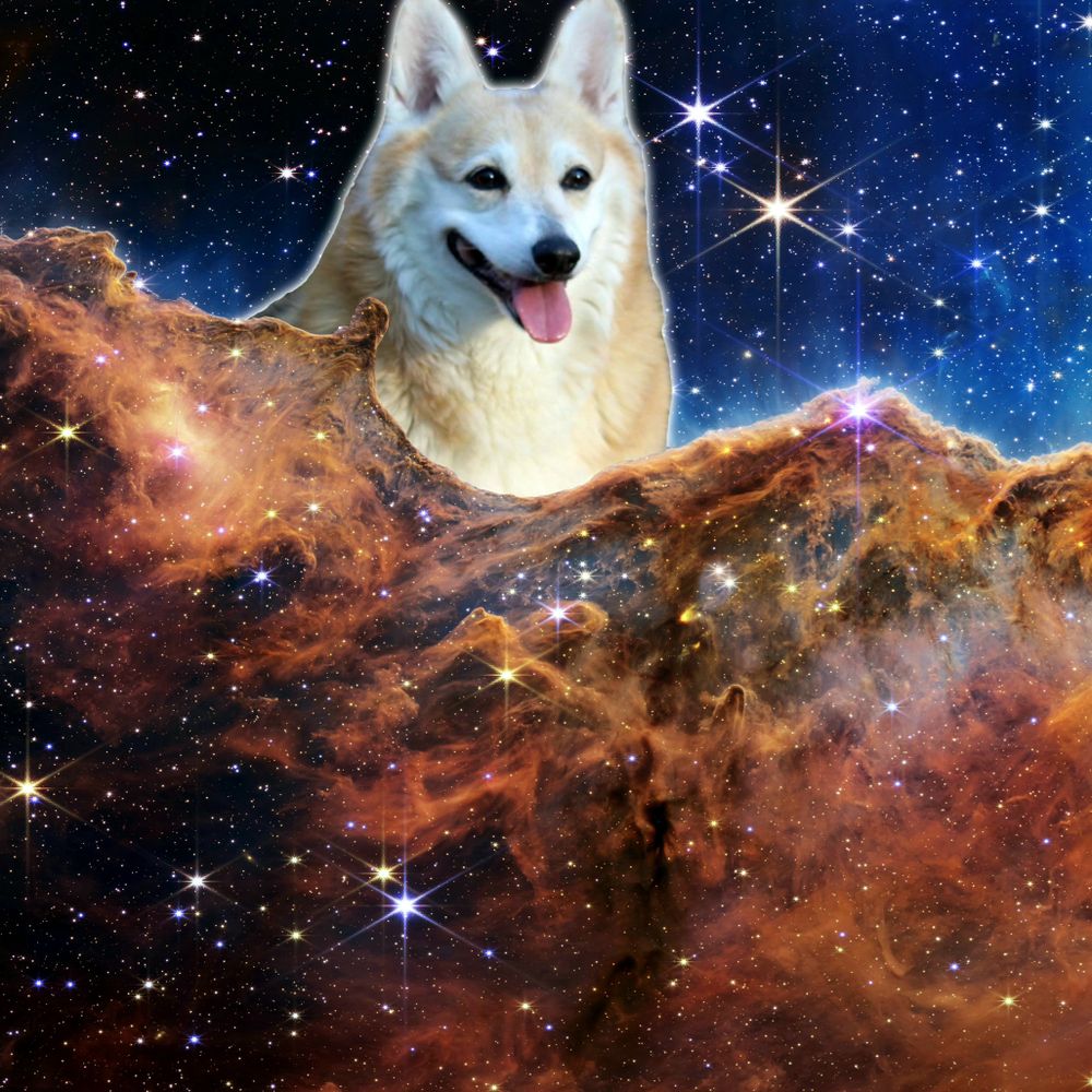 Hosertronic