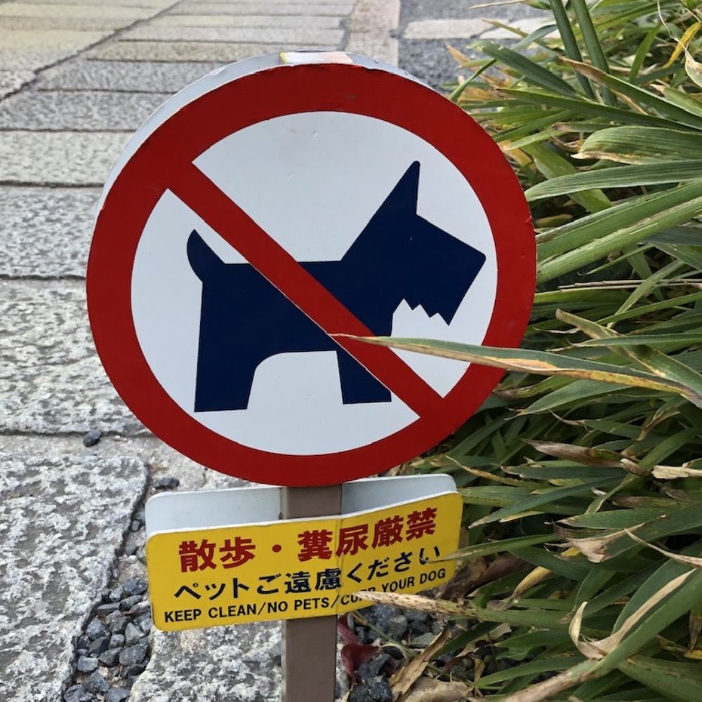 まび
