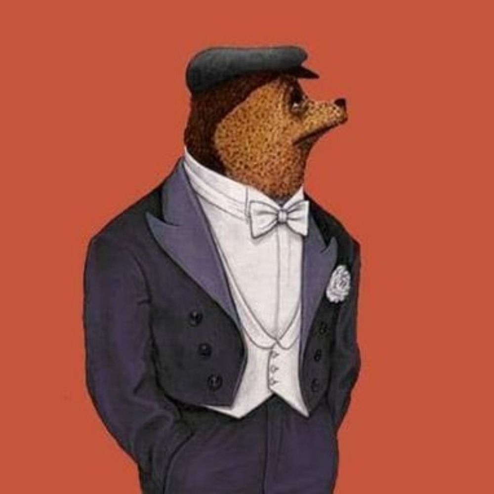 Mr.bex