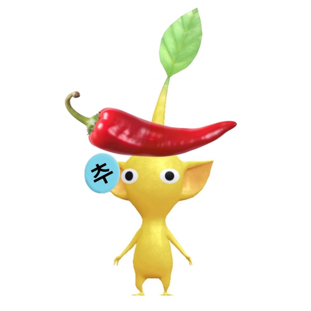 추돌