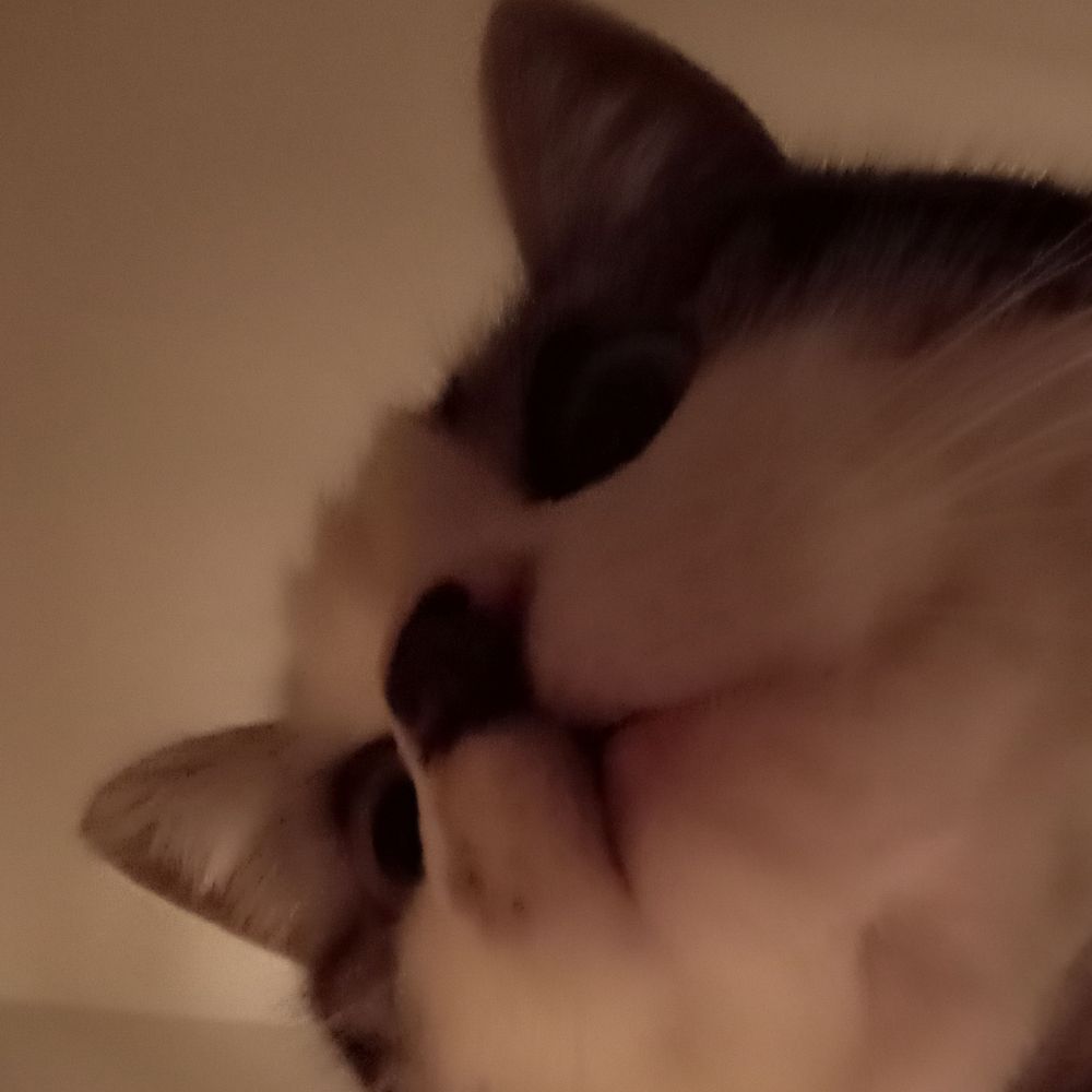 あき