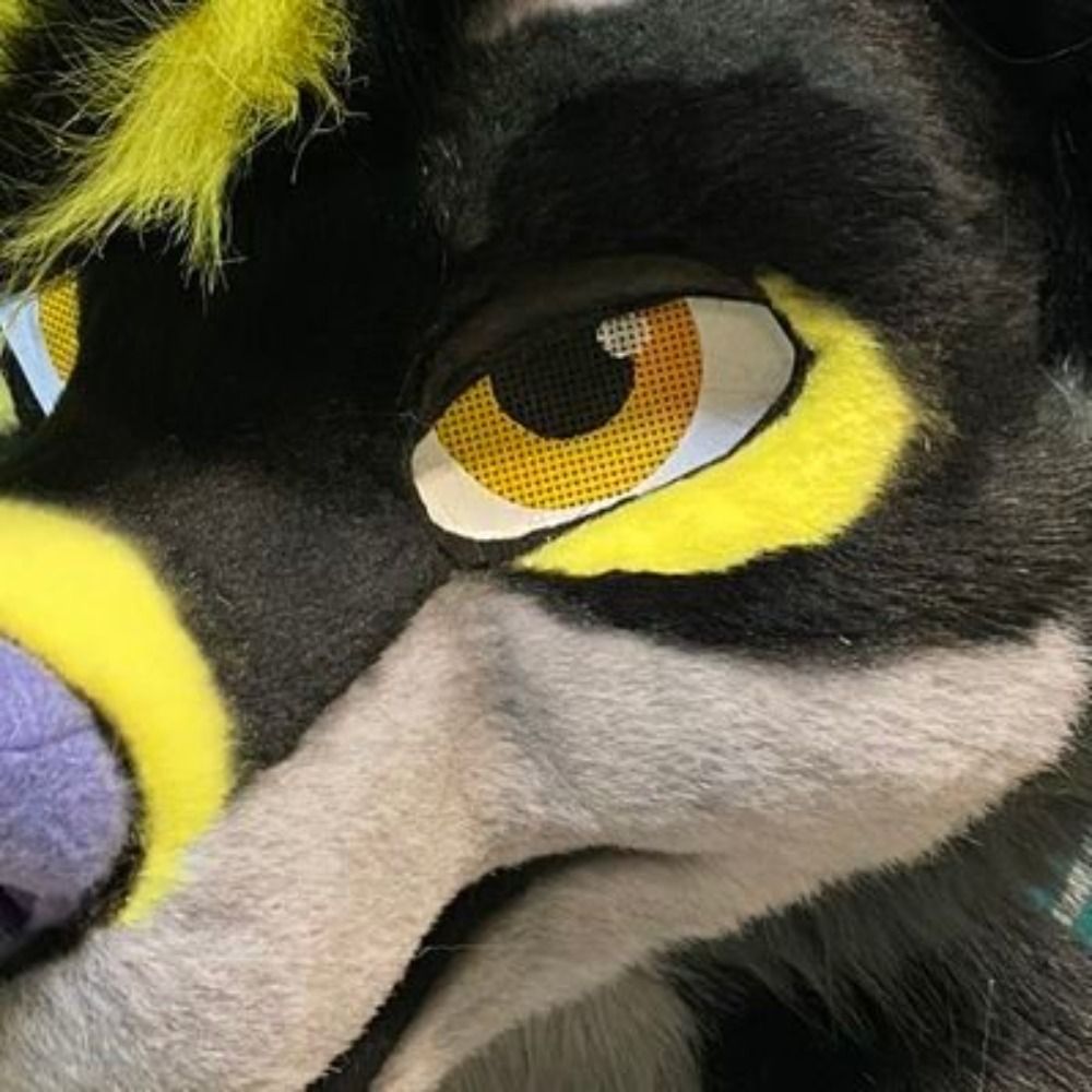 / Wolf /