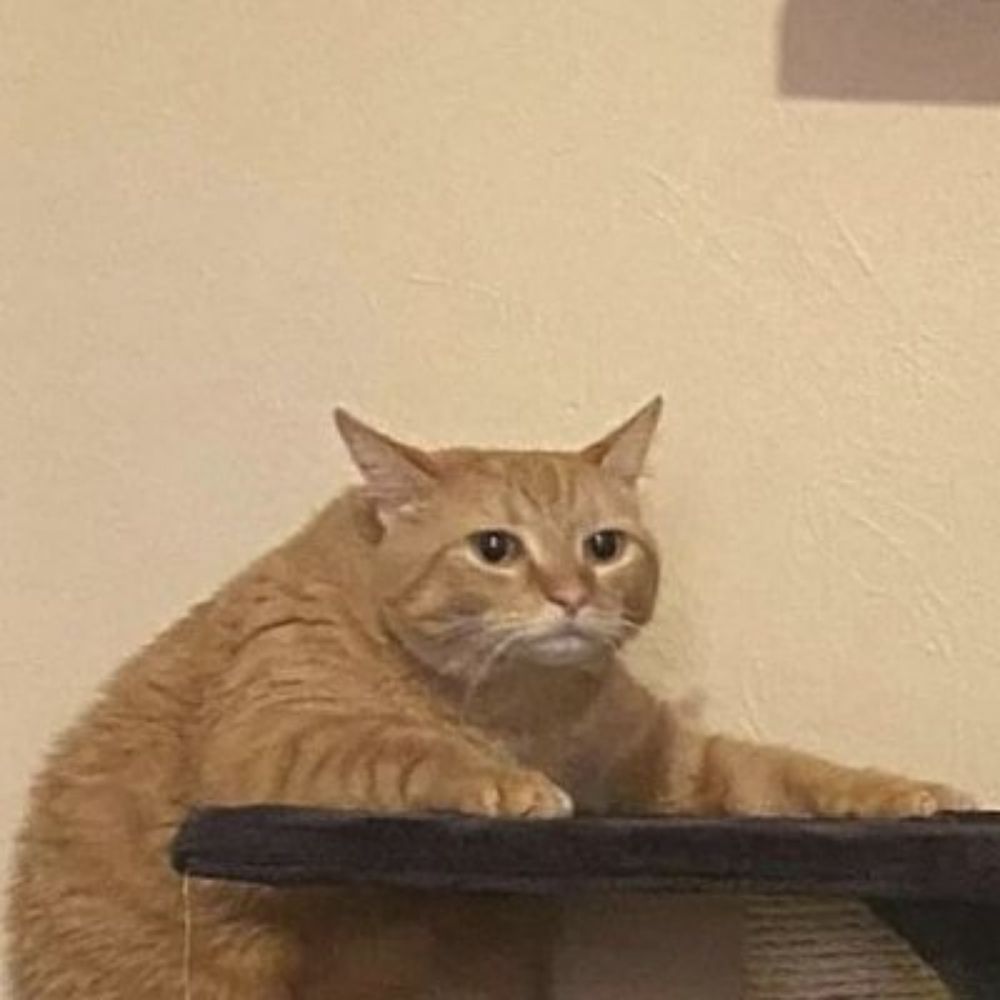 liliˢᵉᵖ