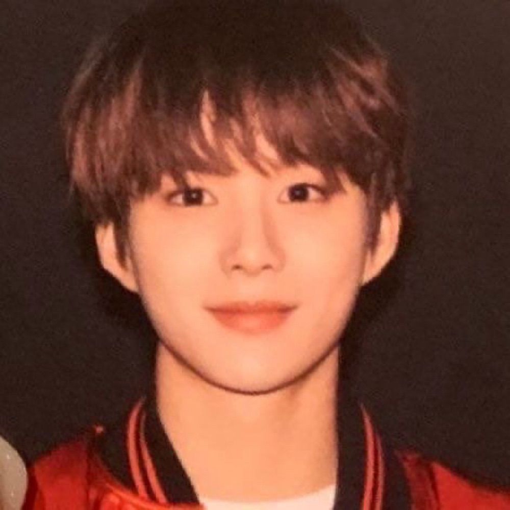 슈가