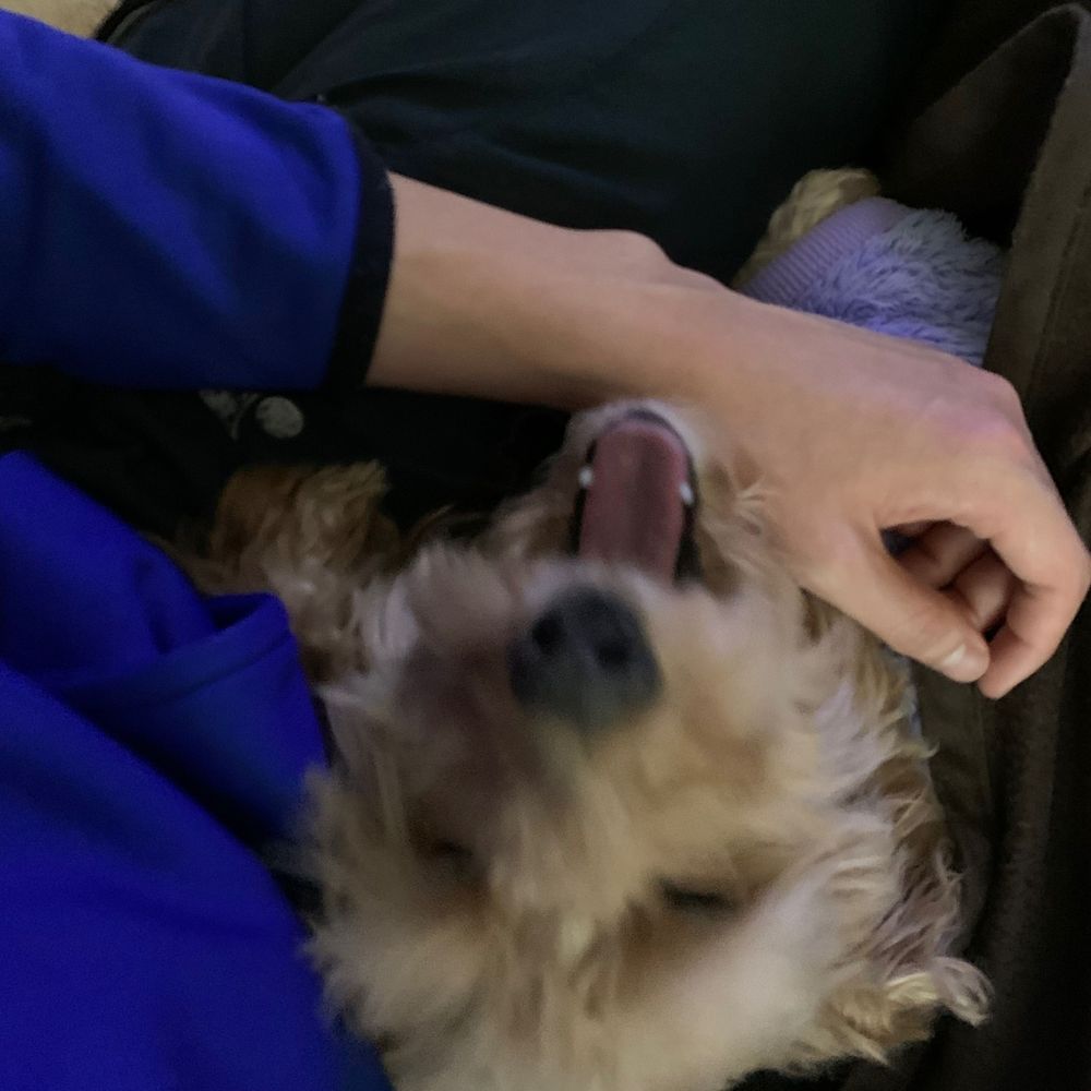 光