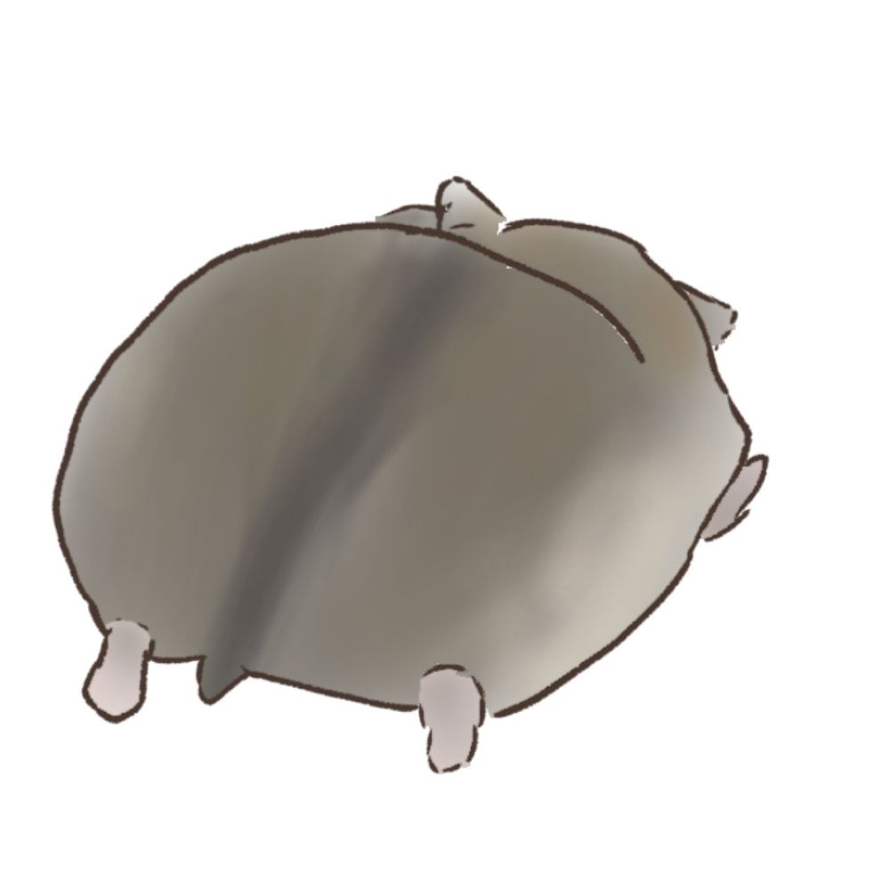 ピピタピ